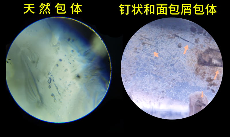 天然水晶与合成水晶包裹体显微镜对比 白水晶球真假鉴别全攻略:4类仿品专业识别方法|东海水晶城实战-玮晶山房